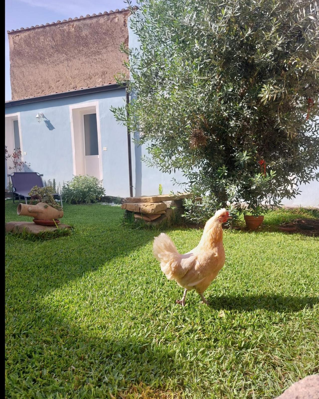 B&B Il Borgo Delle Emozioni Dolianova Bagian luar foto